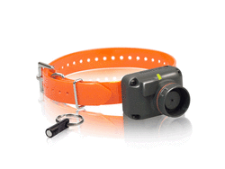 Dogtra StB Audible Pointer Training Collar